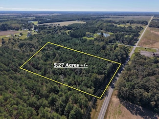 Lot C-17 Elko Rd, Elko, GA 31025