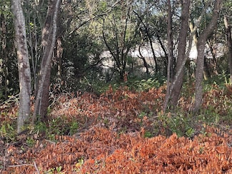 7291 Radcliff St, Spring Hill, FL 34606