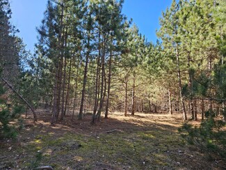 915 Scott Dr, Bashaw Township, WI 54801