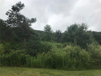 0 Partridge Hill Circle Rd Unit B1105176, Great Valley, NY 14741