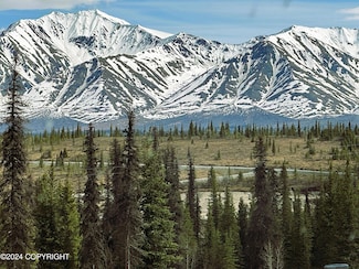 L15 Wonderstruck Ave, Cantwell, AK 99729