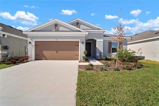 6218 Hidden Branch Dr, Apollo Beach, FL 33572