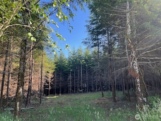 7 Beaver Hill Ln S, Montesano, WA 98563