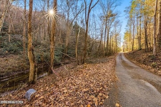 Lot 0017 Cool Creek Rd, Sevierville, TN 37862