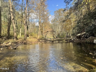 150 Little Branch Rd, Flag Pond, TN 37657