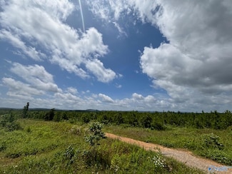Tract 3 Tom Cat Rd, Gadsden, AL 35903