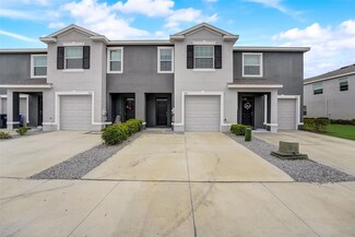 8732 Falling Blue Place, Riverview, FL 33578