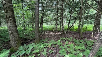 1386 Clif Reynolds Rd, Cambridge, VT 05464