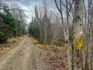 L 33D&33E Back St, Upton, ME 04261