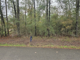 000 Northfork Dr, Porter, TX 77365