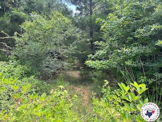 TBD County Road 4342, Bivins, TX 75555