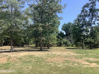 152 Peninsula Dr, Brandon, MS 39047