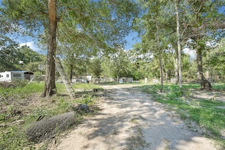 157 Jim Browder Rd, New Waverly, TX 77358