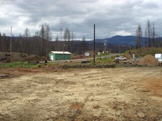 1243 Rock Creek Rd, Idleyld Park, OR 97447