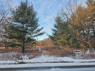 18080 Calvin Hill St, Cassopolis, MI 49031