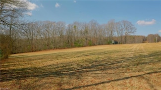 5 Jessup Grove Church Rd, Pilot Mountain, NC 27041