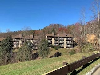 1081 Cove Rd, Sevierville, TN 37876