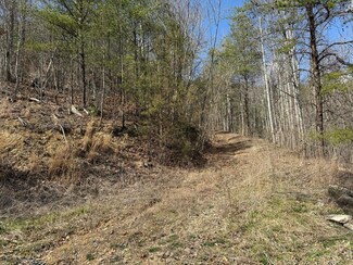 00 Covered Bridge Way, Newport, TN 37821