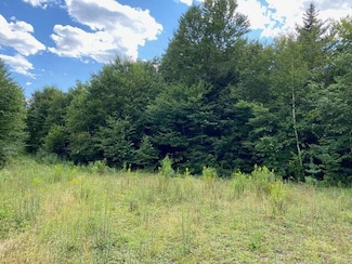 WA4 Partridge Knoll, Cathance Township, ME 04628