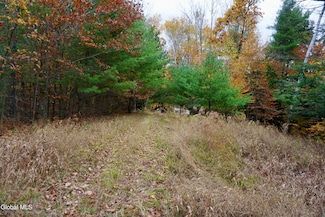 75 Carey Rd, Hadley, NY 12835