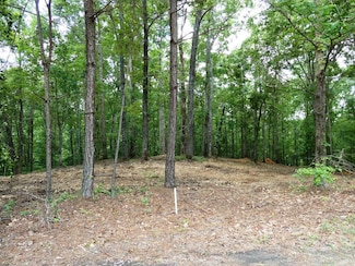 0 Lot 77 Broken Arrow Unit 25-1305, Jasper, AL 35504
