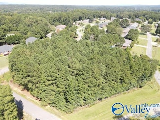 0.46 Whorton Bend Rd, Gadsden, AL 35901