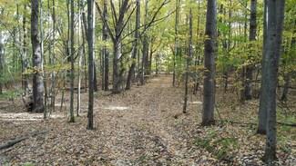 6972 E Washington Rd, Branch, MI 49402