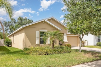 10036 Crested Fringe Dr, Riverview, FL 33578