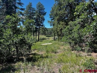 774 Circle Dr, Bayfield, CO 81122