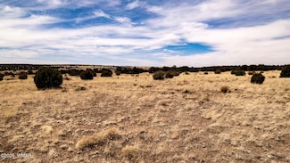 5 Colts Way, Concho, AZ 85924