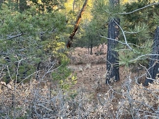 L1-2, 45 Miles Loop, Timberon, NM 88350
