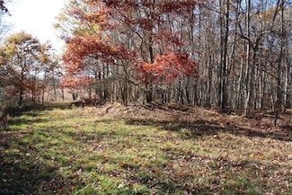 Lot 12 Sand Bank Heights Rd, Masontown, WV 26542