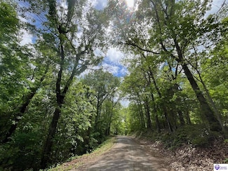 AC Rocky Hill Rd, Bonnieville, KY 42713