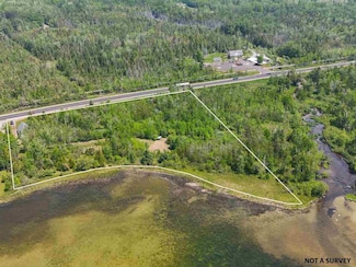 3250 Oden Rd, Alanson, MI 49706