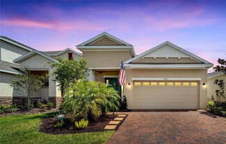 7423 Sungold Meadow Ct, Apollo Beach, FL 33572