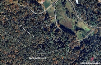 0 Chimney Mountain Flats Trail Unit 1022226, Clarkesville, GA 30523