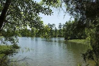 1458 Rock Point Cove, Tignall, GA 30668