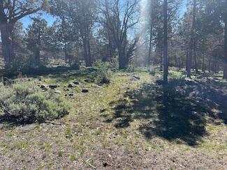 Lot 507 Dowitcher Rd, Klamath Falls, OR 97601