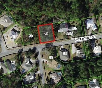22 Greentree St, Homosassa, FL 34446