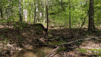 0 Santee Trail, Liberty Township, MO 63664
