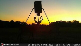 7435 County Road 265, Dublin, TX 76446