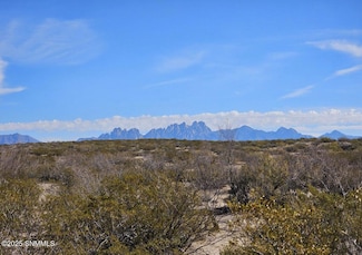 31 Tucson Ave, Las Cruces, NM 88012