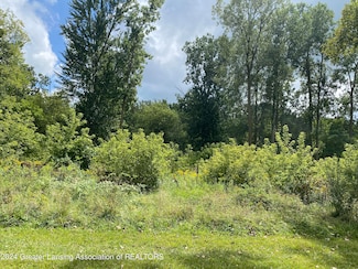 V/L W South - Lot#11 St, Owosso, MI 48867