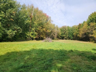 5967 Taylor St, Hudson, MI 49426