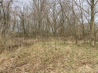 11ac Steiman Rd Unit Lot 3, Washington Township, OH 45171