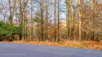 Tbd Cherry Hill Lot #2 Rd, Stone Ridge, NY 12484