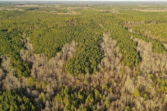 0 Mount Pleasant Rd, Noxapater, MS 39346