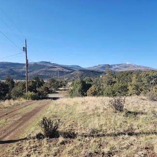 503 Kenosha Rd, South Fork, CO 81154