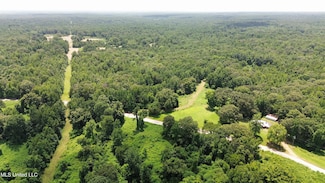 0 Scallions Rd, Cascilla, MS 38920