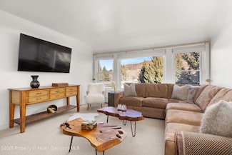 1041 Vine St Unit 1041, Aspen, CO 81611
